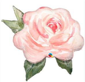 rosa rosa